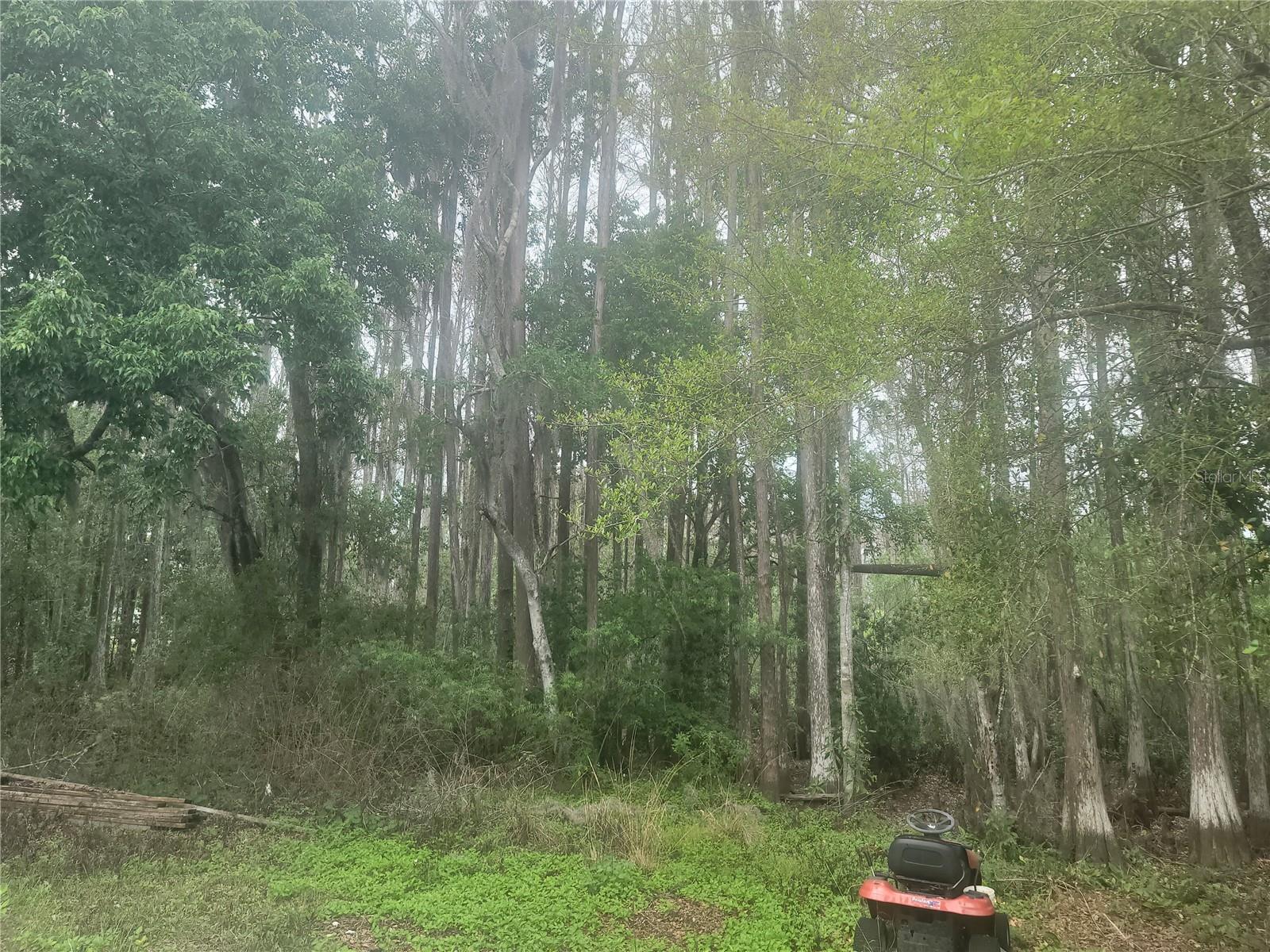 Image 15 of 18 For 11641 Bruin Drive