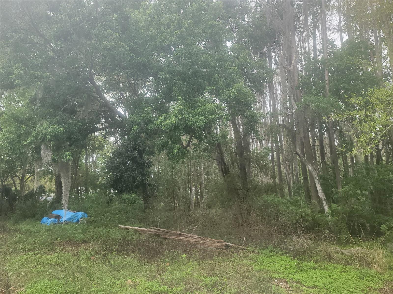 Image 16 of 18 For 11641 Bruin Drive