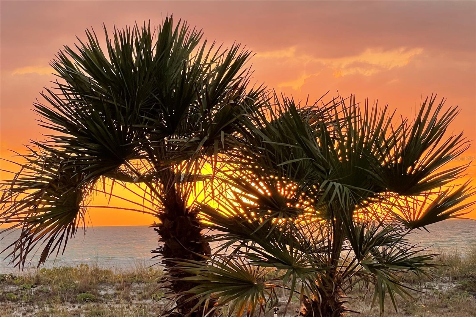 Image 53 of 53 For 1460 Gulf Boulevard 511