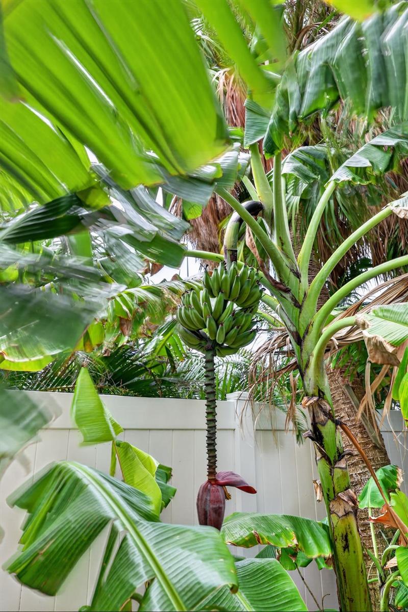 Image 58 of 96 For 13 Treasure Ln