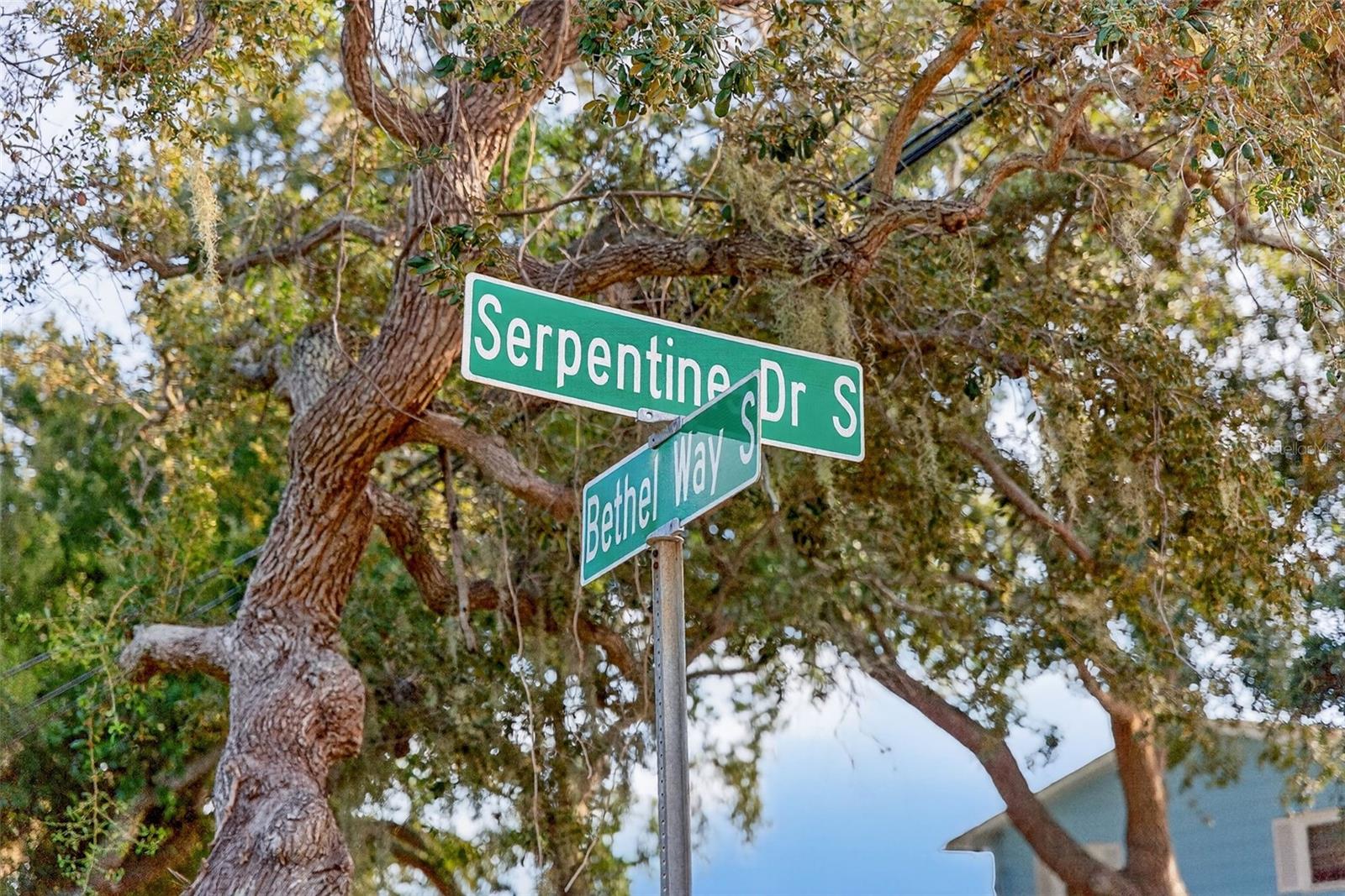 Image 64 of 75 For 1835 Serpentine Drive S