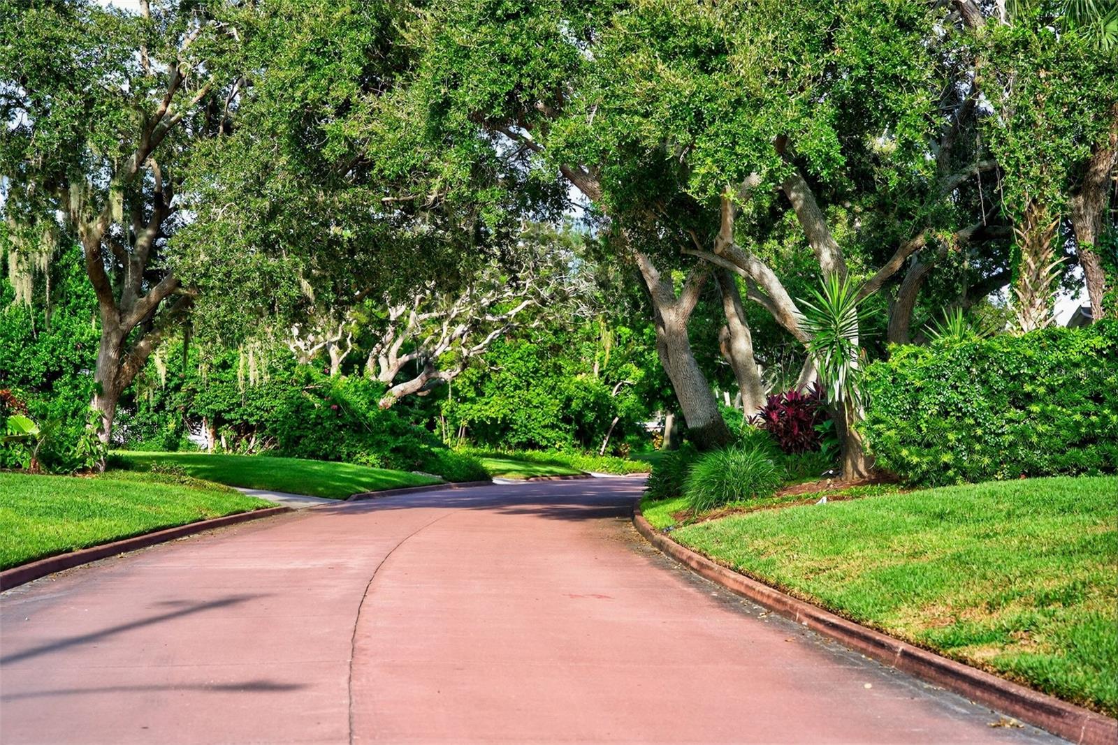 Image 66 of 75 For 1835 Serpentine Drive S