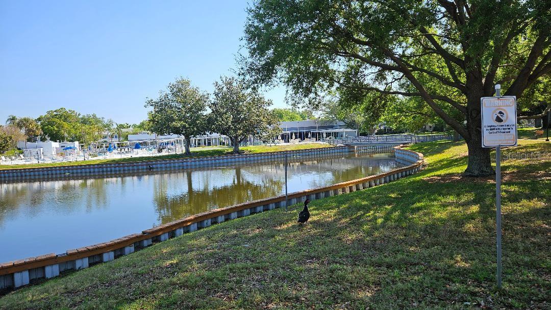 Image 2 of 22 For 11225 82nd Avenue N 309