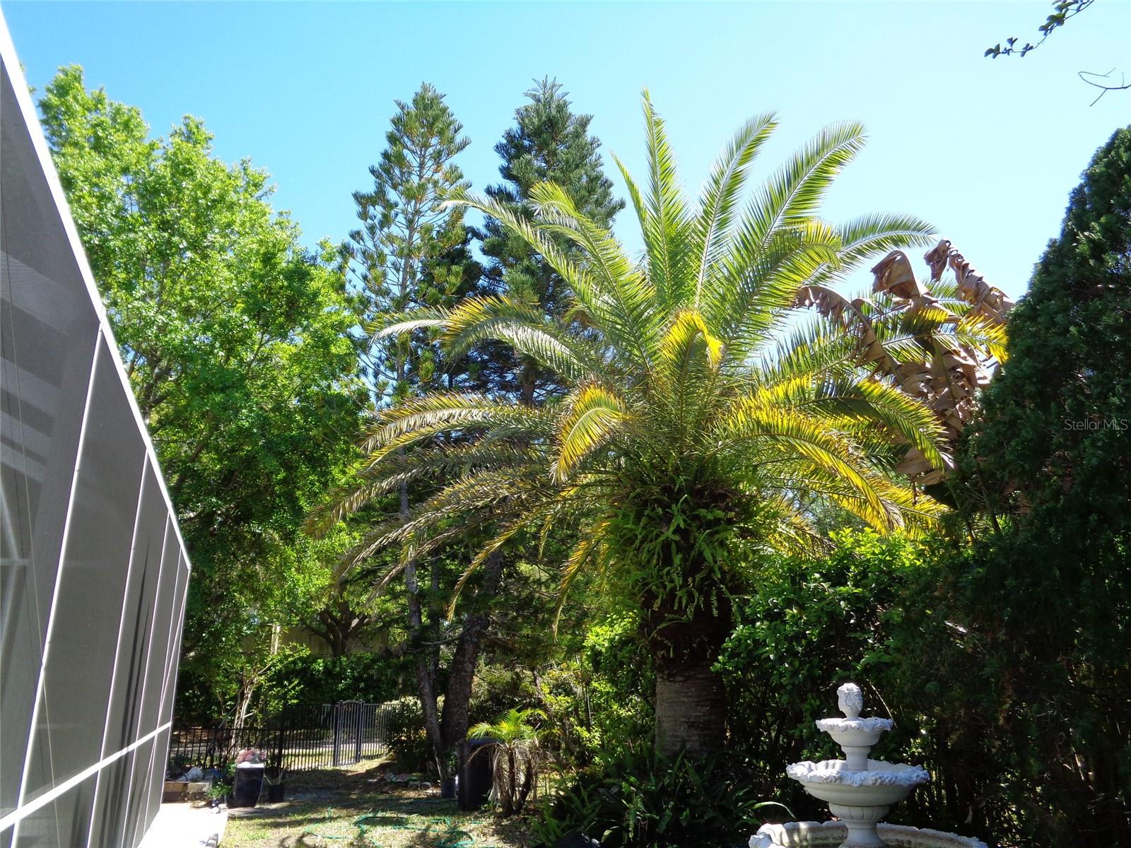 Image 45 of 47 For 6102 Savoy Circle