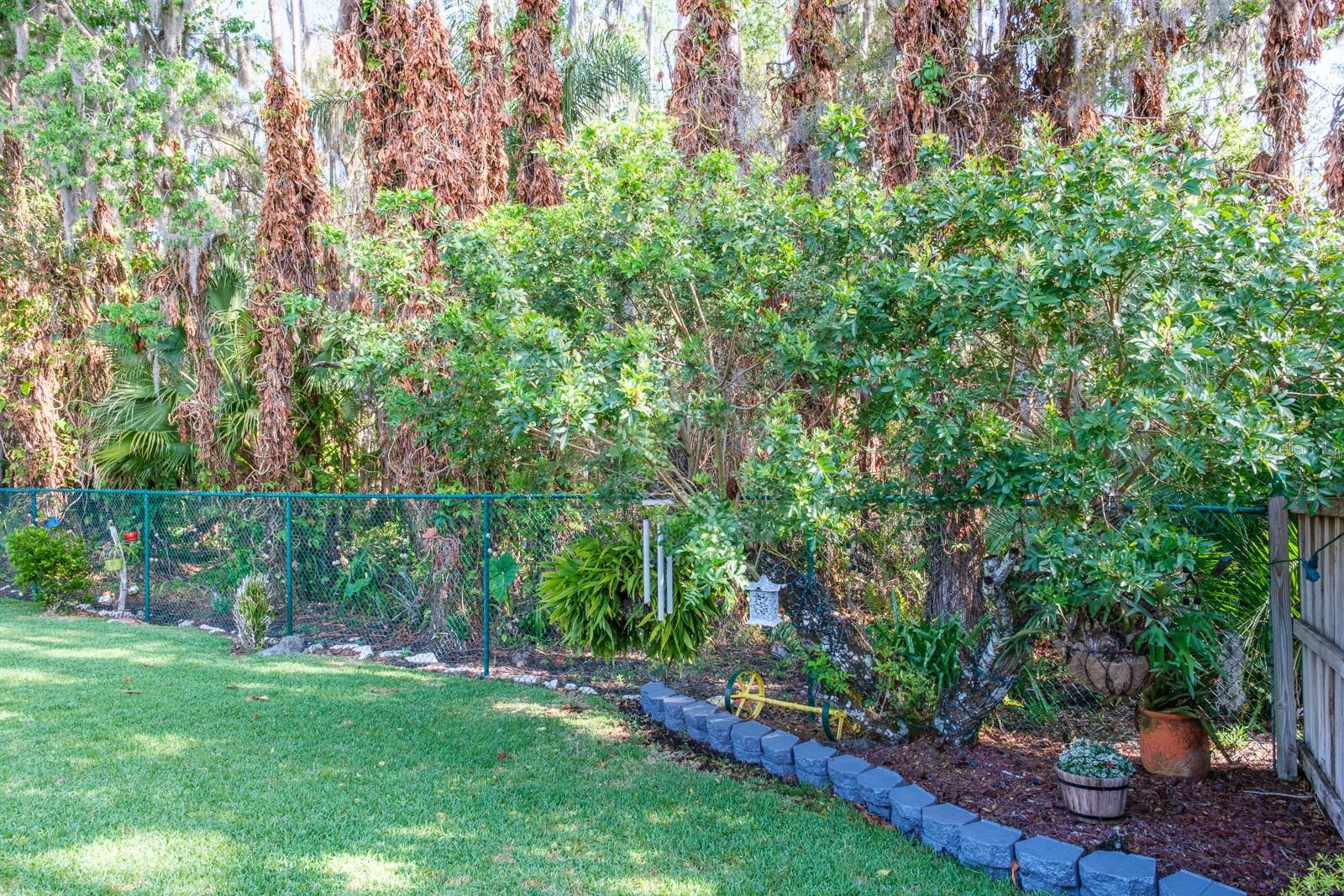 Image 63 of 79 For 509 Lakeview Drive