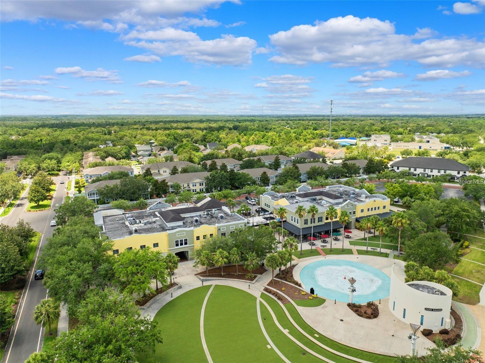 Image 49 of 50 For 14907 Tavares Mill Avenue