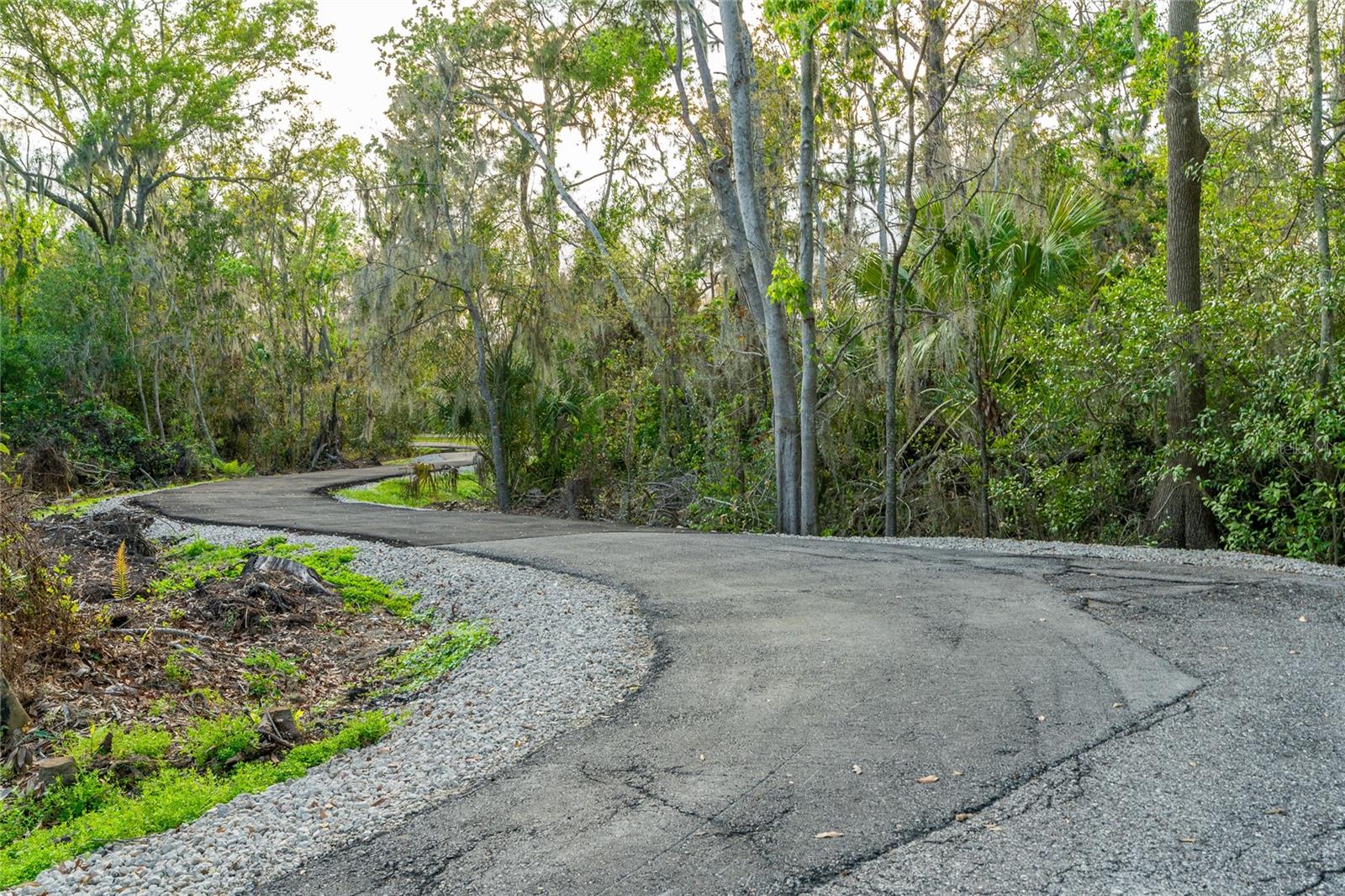 Image 75 of 78 For 2802 Hammock Drive