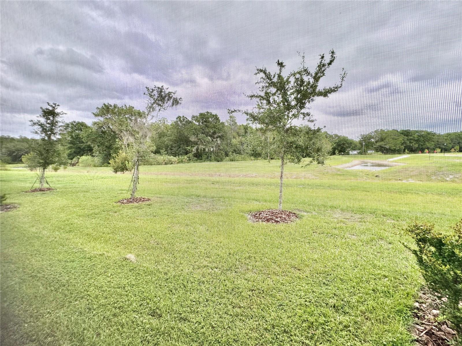 Image 36 of 84 For 1610 Colt Creek Place