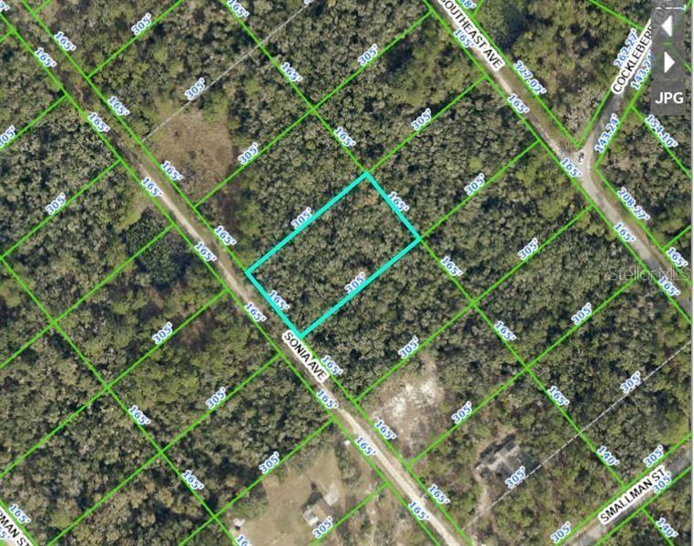 Image 19 of 19 For 7252 Sonia Avenue