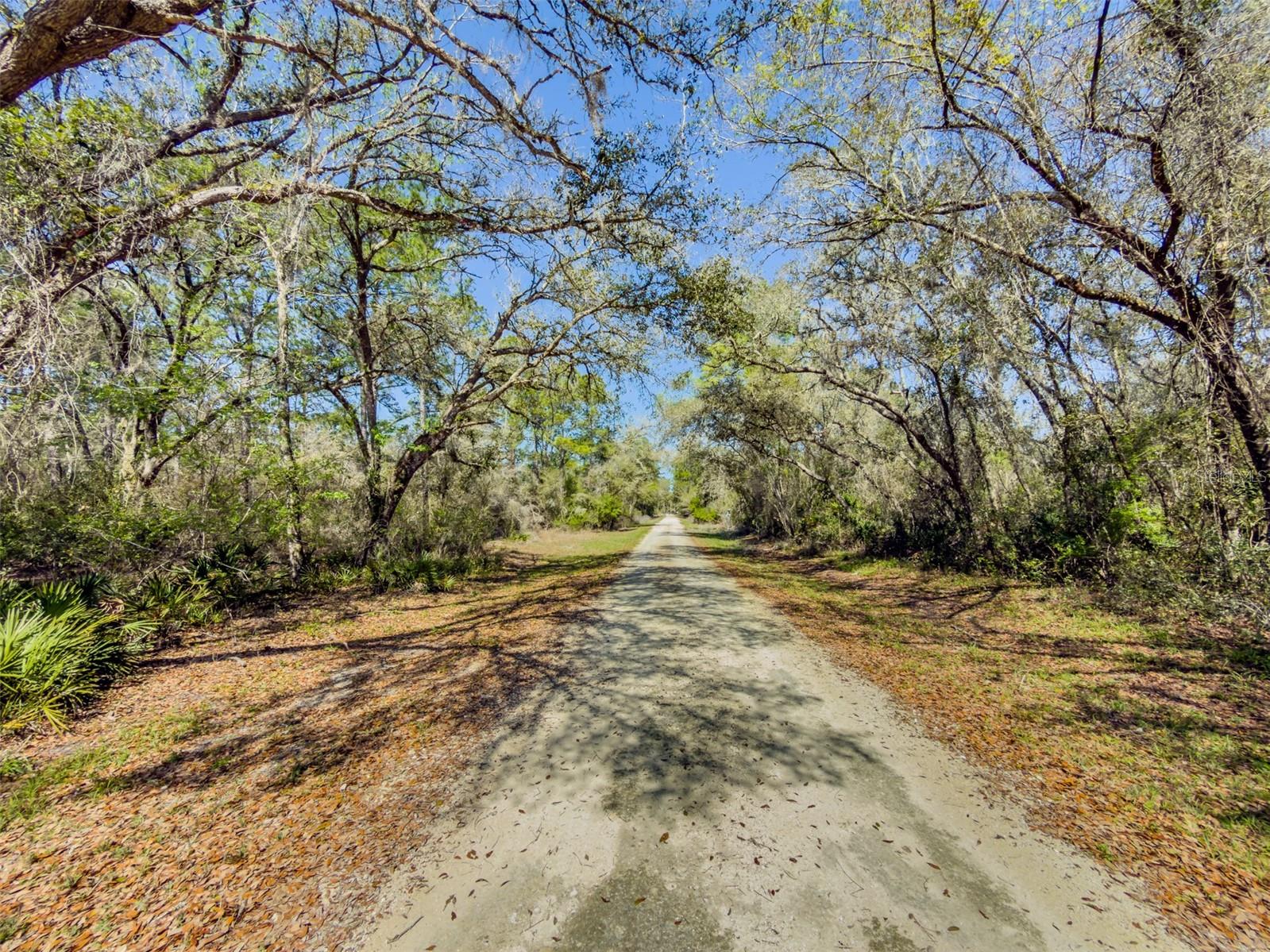 Image 4 of 19 For 7252 Sonia Avenue