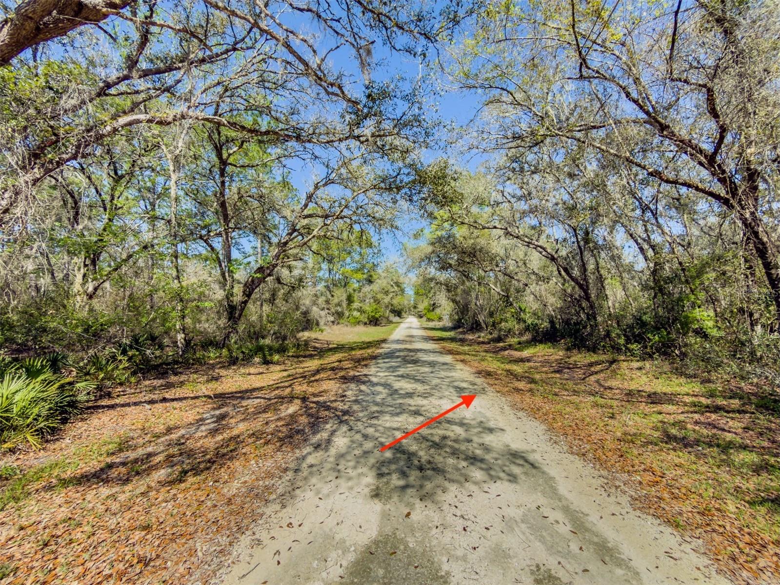 Image 7 of 19 For 7252 Sonia Avenue