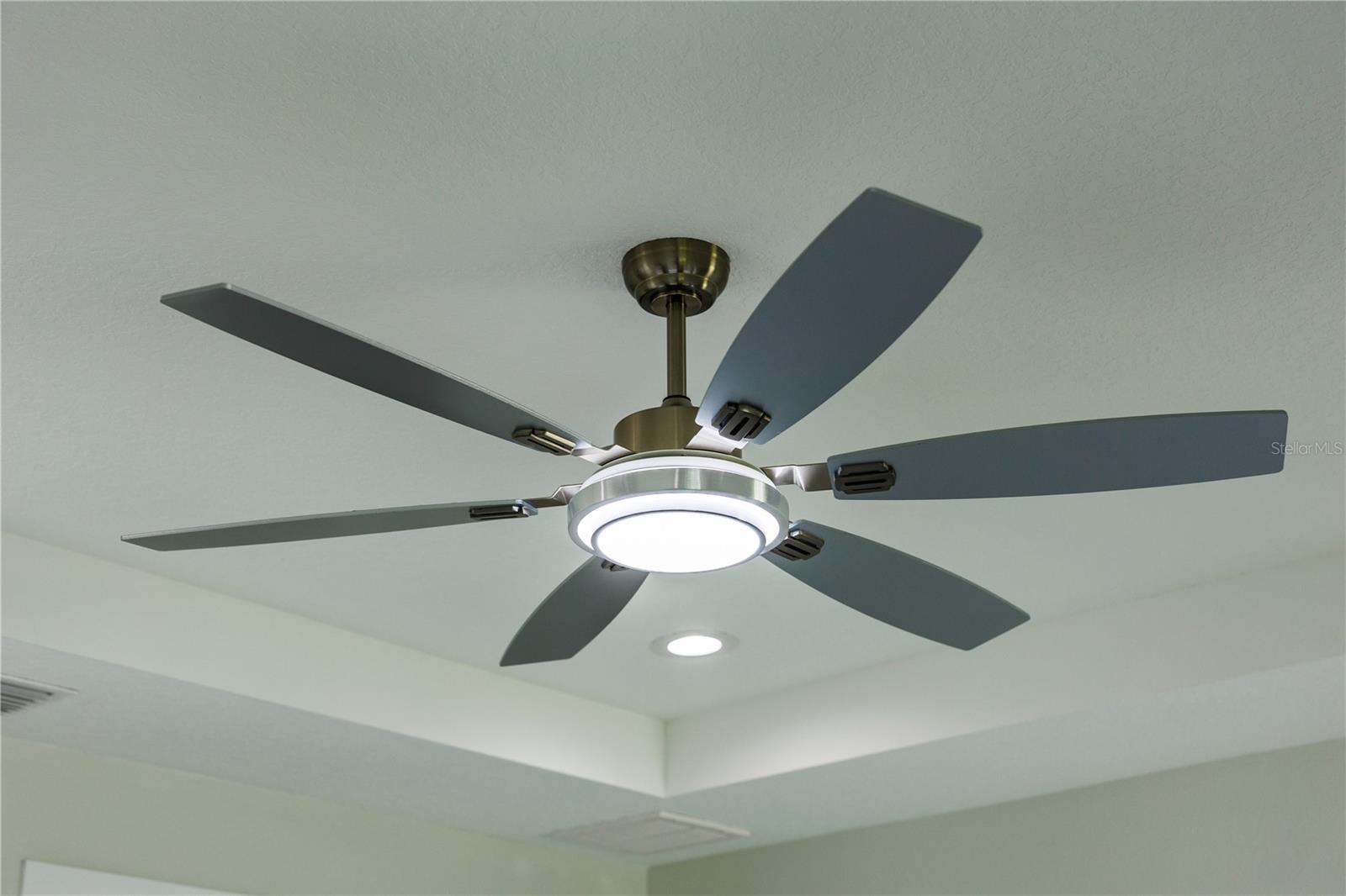 Image 31 of 41 For 3803 Palmetto Street