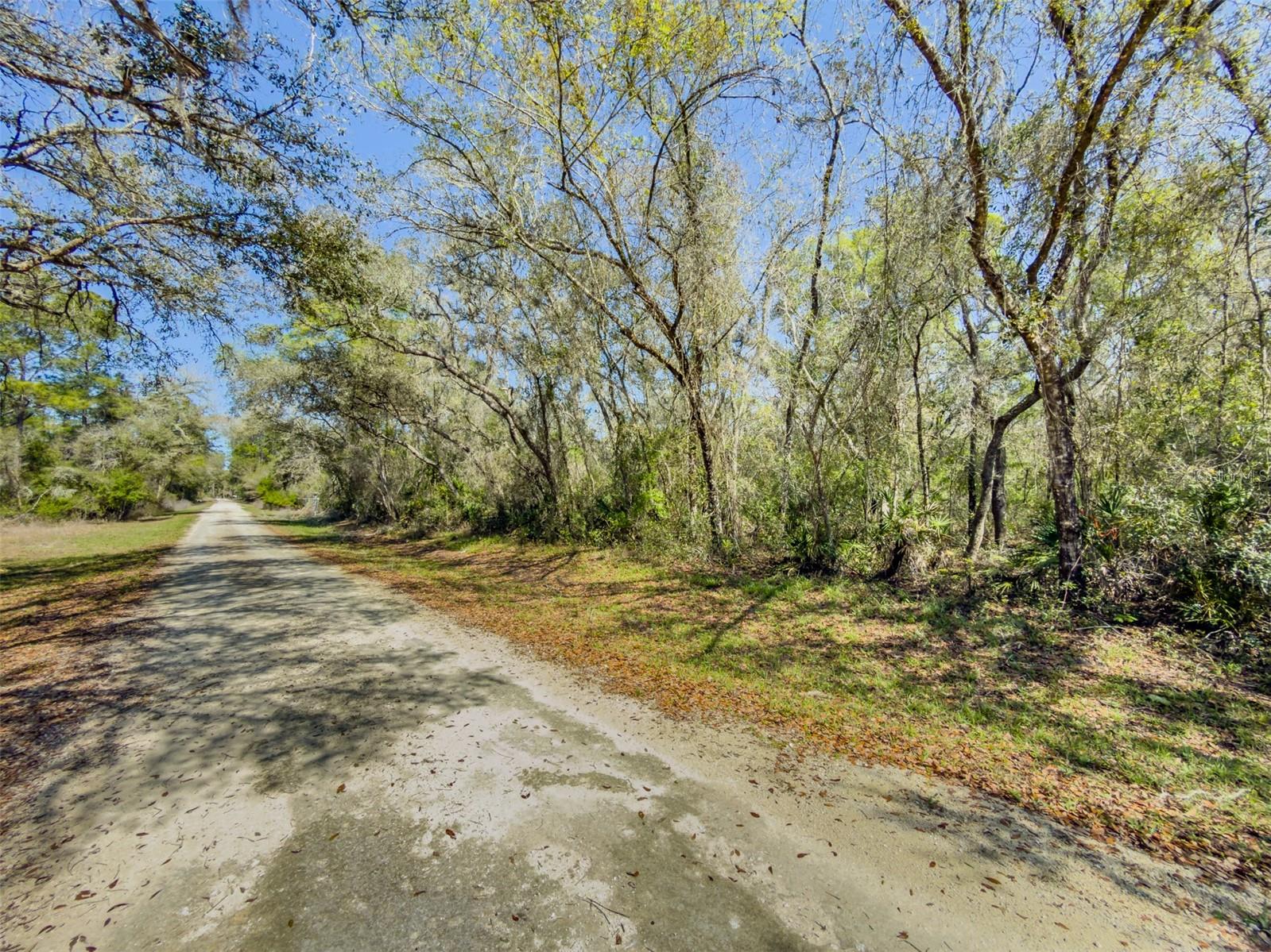 Image 11 of 19 For 7262 Sonia Avenue