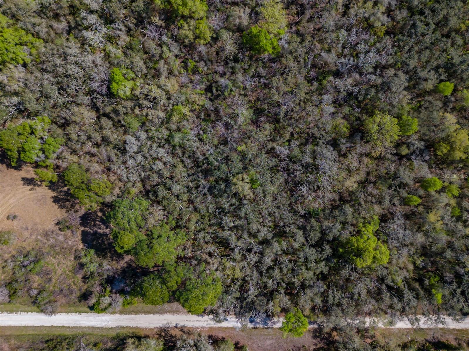 Image 18 of 19 For 7262 Sonia Avenue