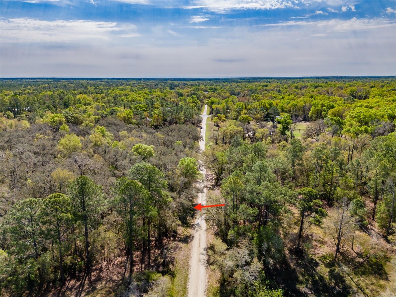 Image 4 of 19 For 7262 Sonia Avenue