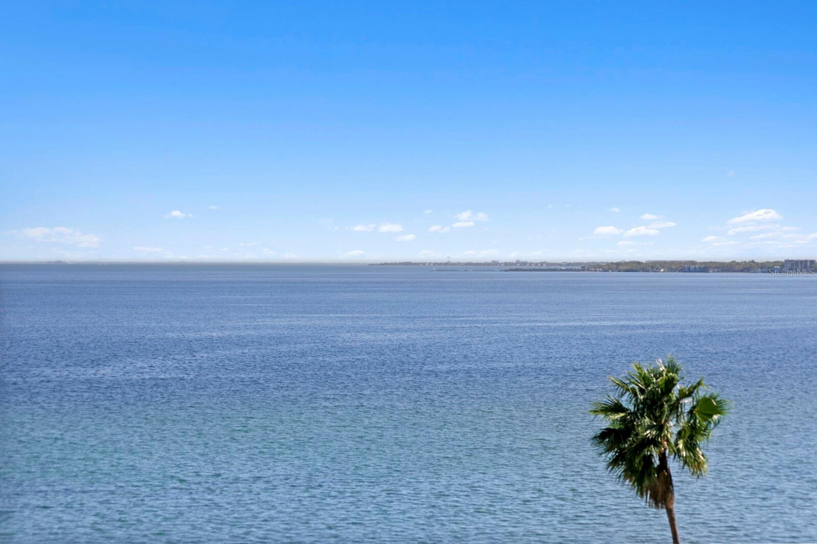 Listing photo id 27 for 2103 Bayshore Boulevard 605