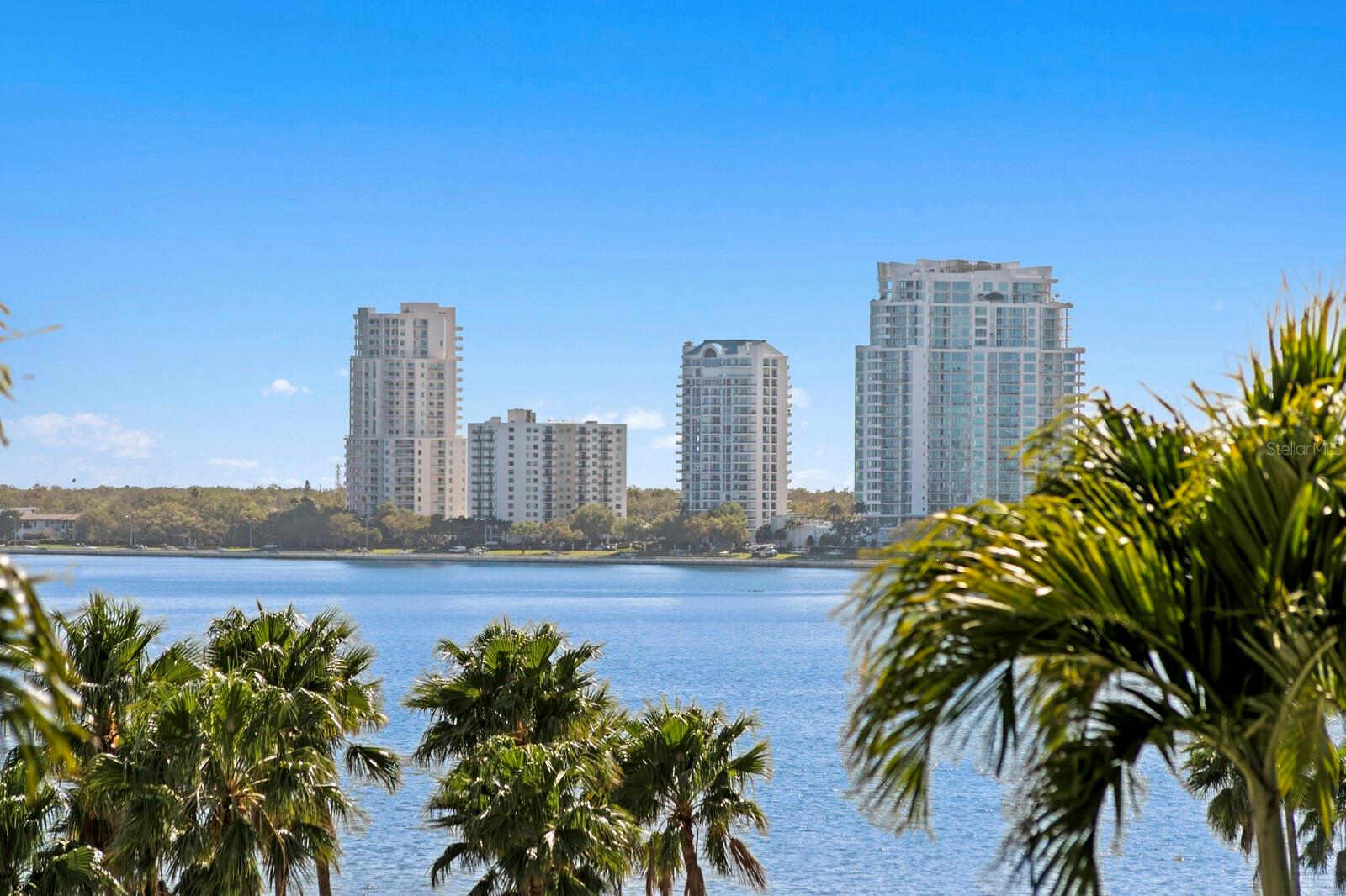 Listing photo id 39 for 2103 Bayshore Boulevard 605