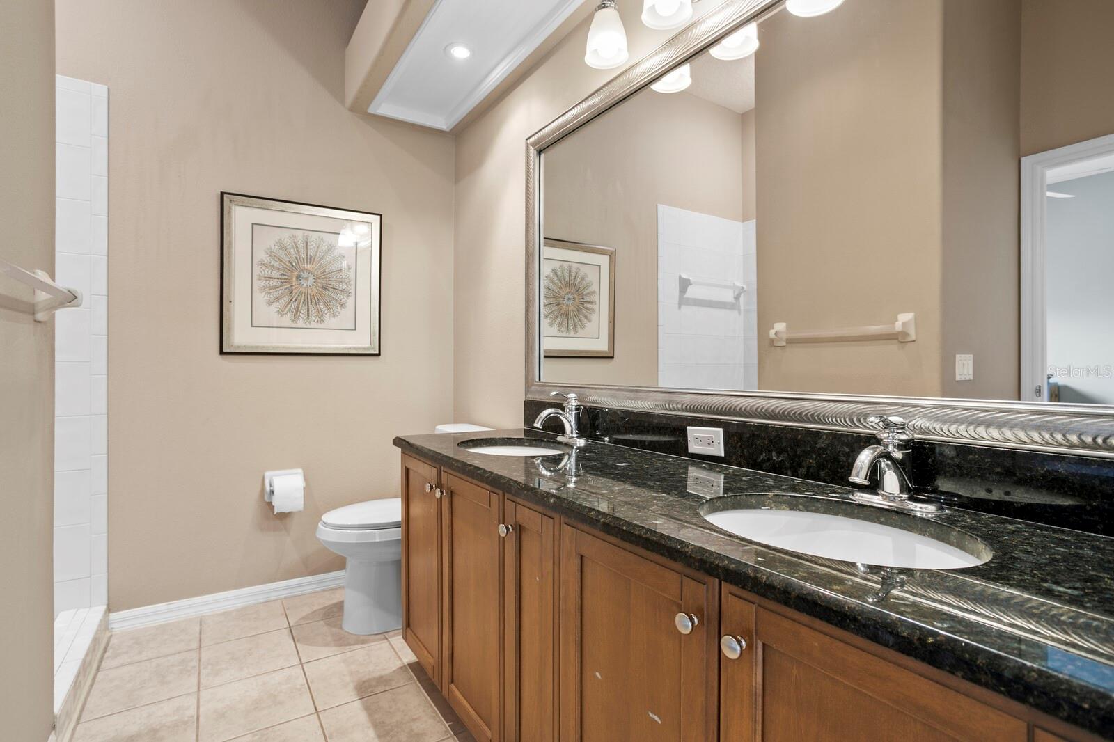 Image 38 of 73 For 18008 Pinnacle Court