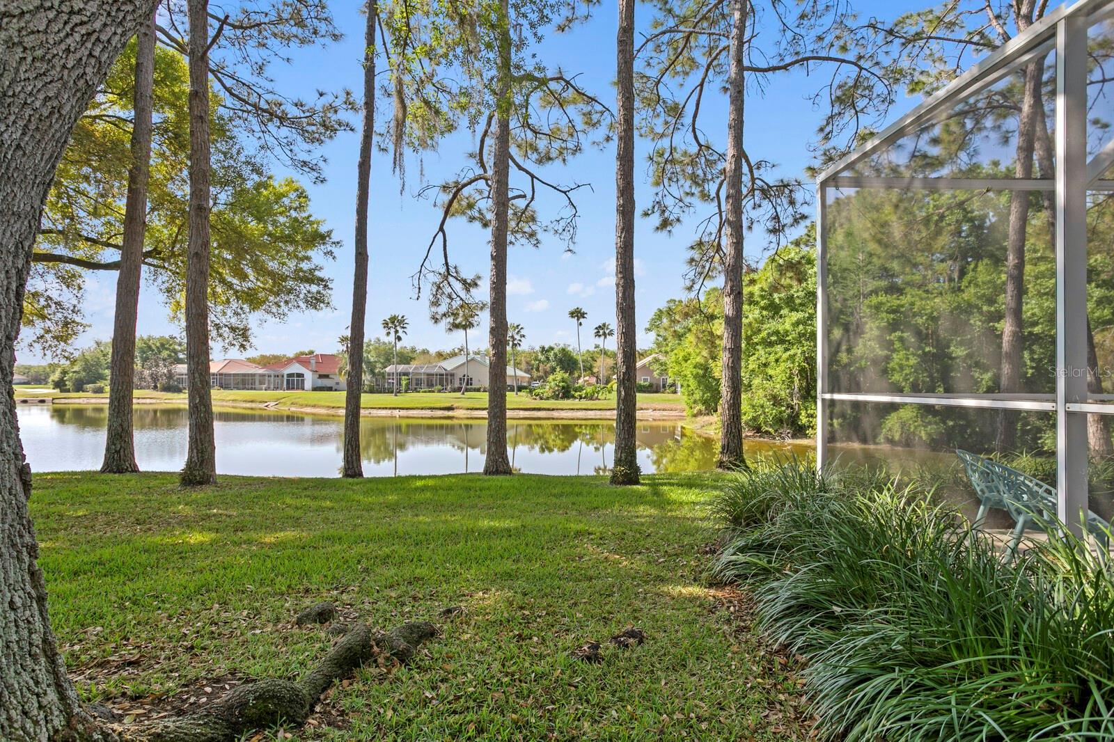 Image 57 of 73 For 18008 Pinnacle Court