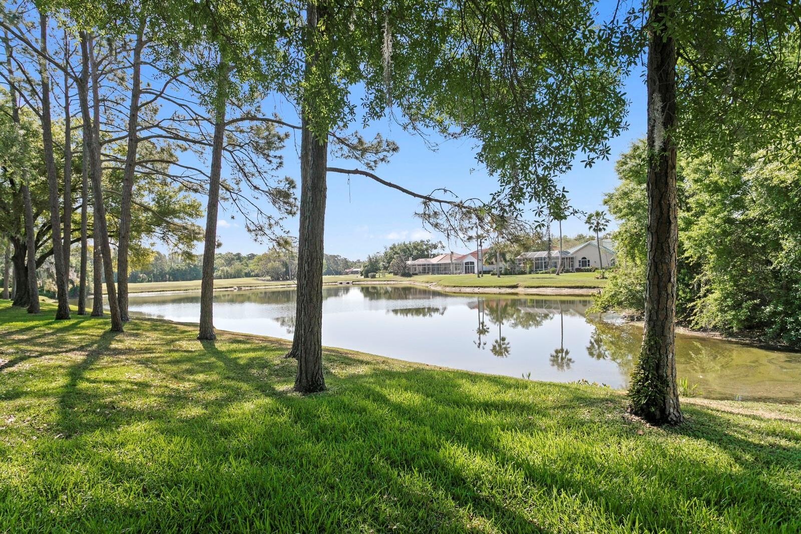 Image 58 of 73 For 18008 Pinnacle Court