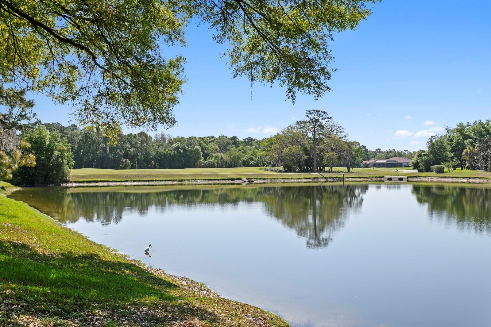 Image 60 of 73 For 18008 Pinnacle Court