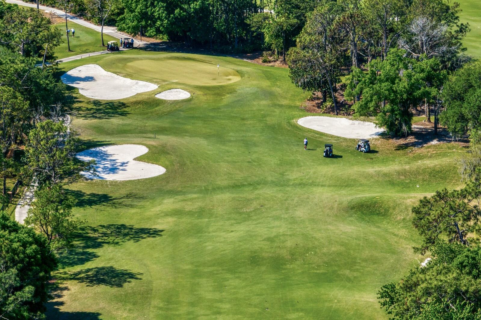 Image 70 of 73 For 18008 Pinnacle Court