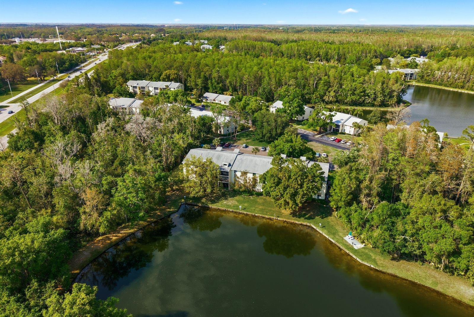 Image 34 of 38 For 3134 Lake Pine Way H1