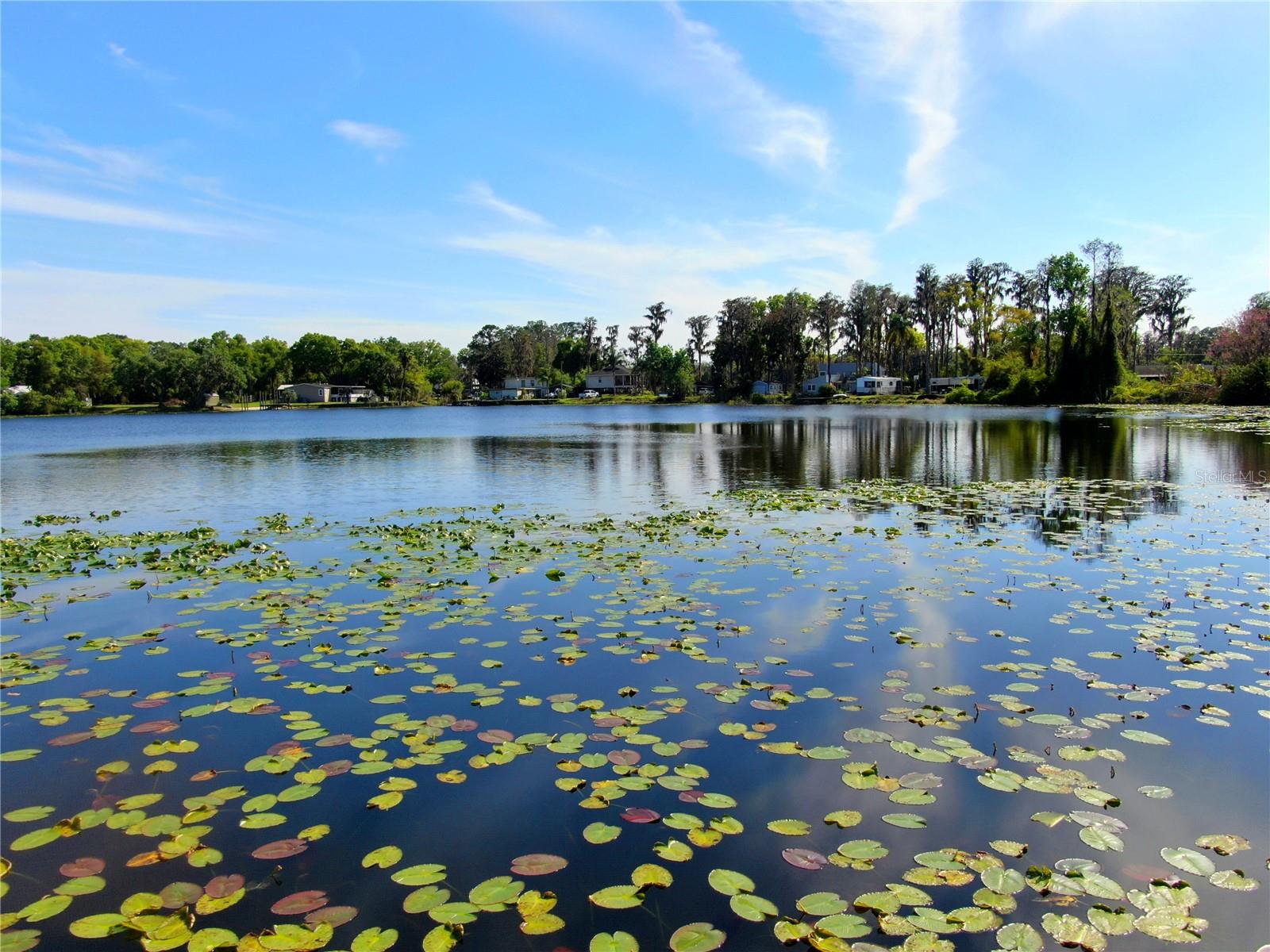 Image 20 of 22 For 14618 Geneva Drive