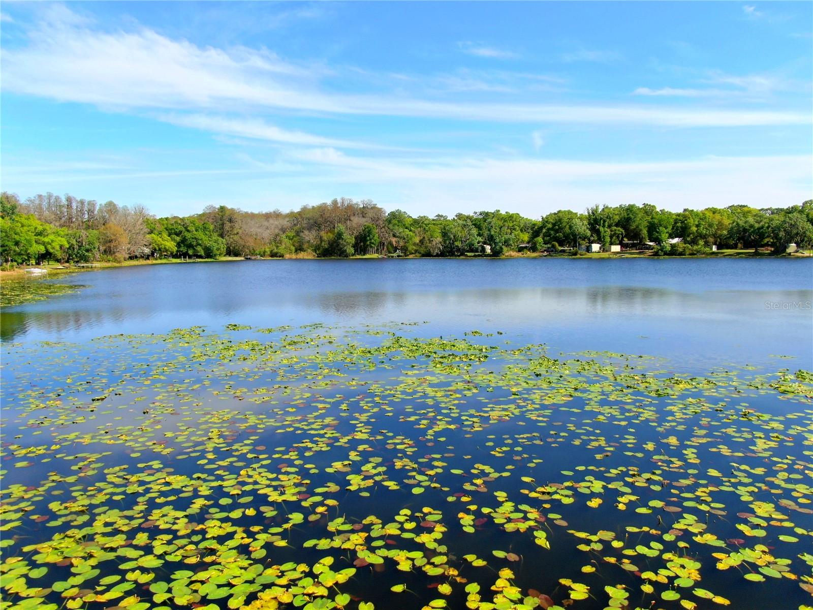 Image 21 of 22 For 14618 Geneva Drive