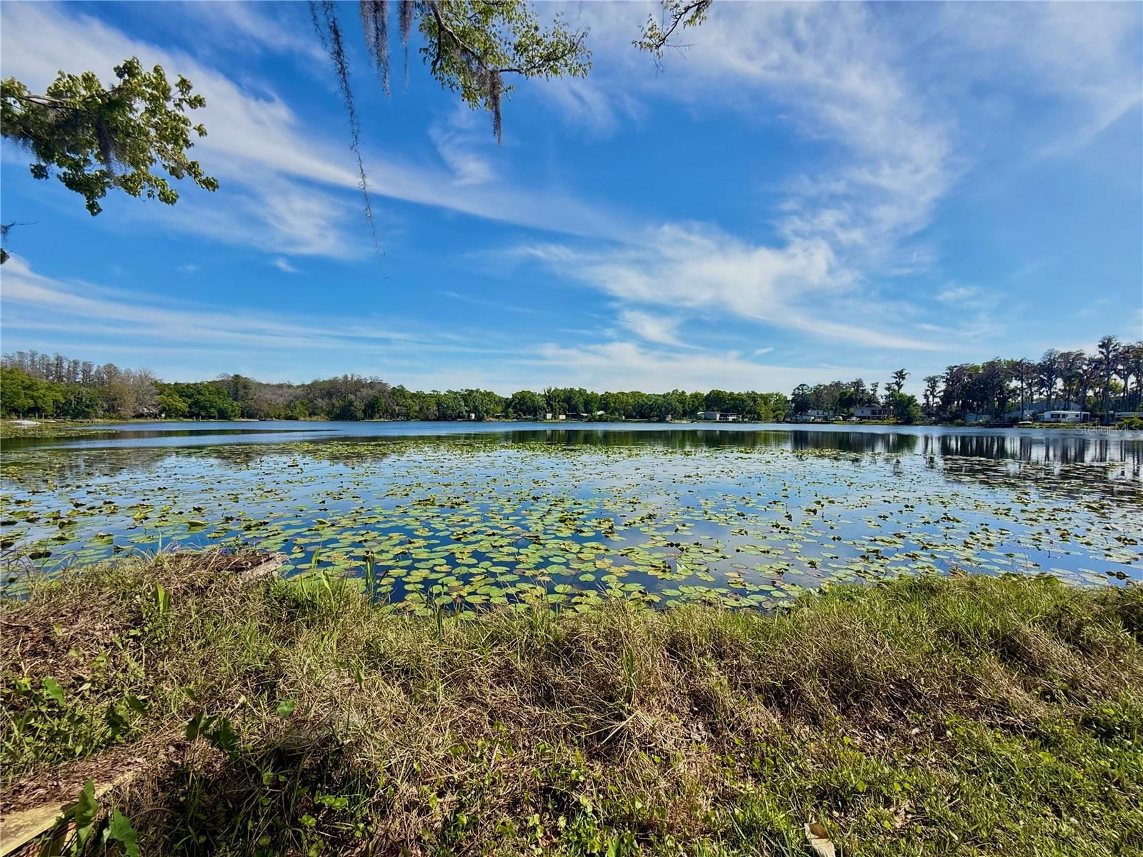 Image 4 of 22 For 14618 Geneva Drive