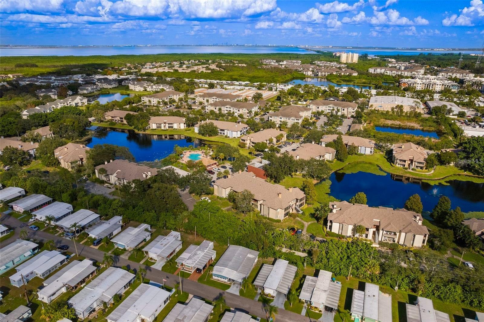 Image 50 of 89 For 10265 Gandy Boulevard N 907