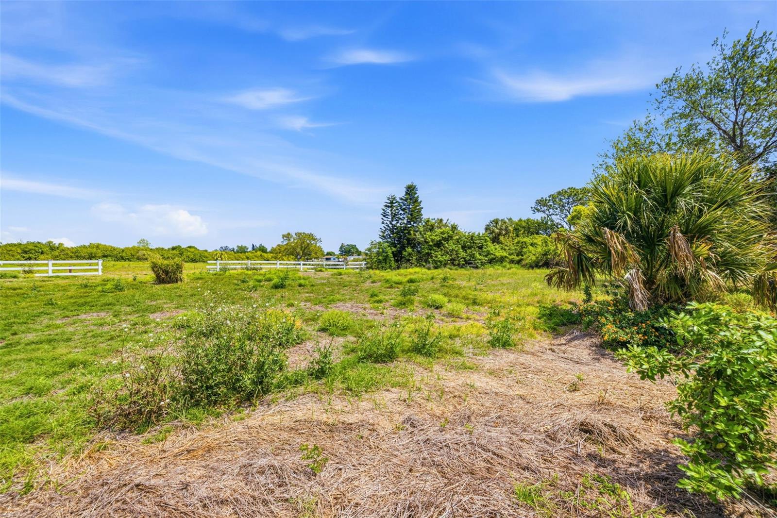 Image 10 of 16 For 1504 Jackson Drive