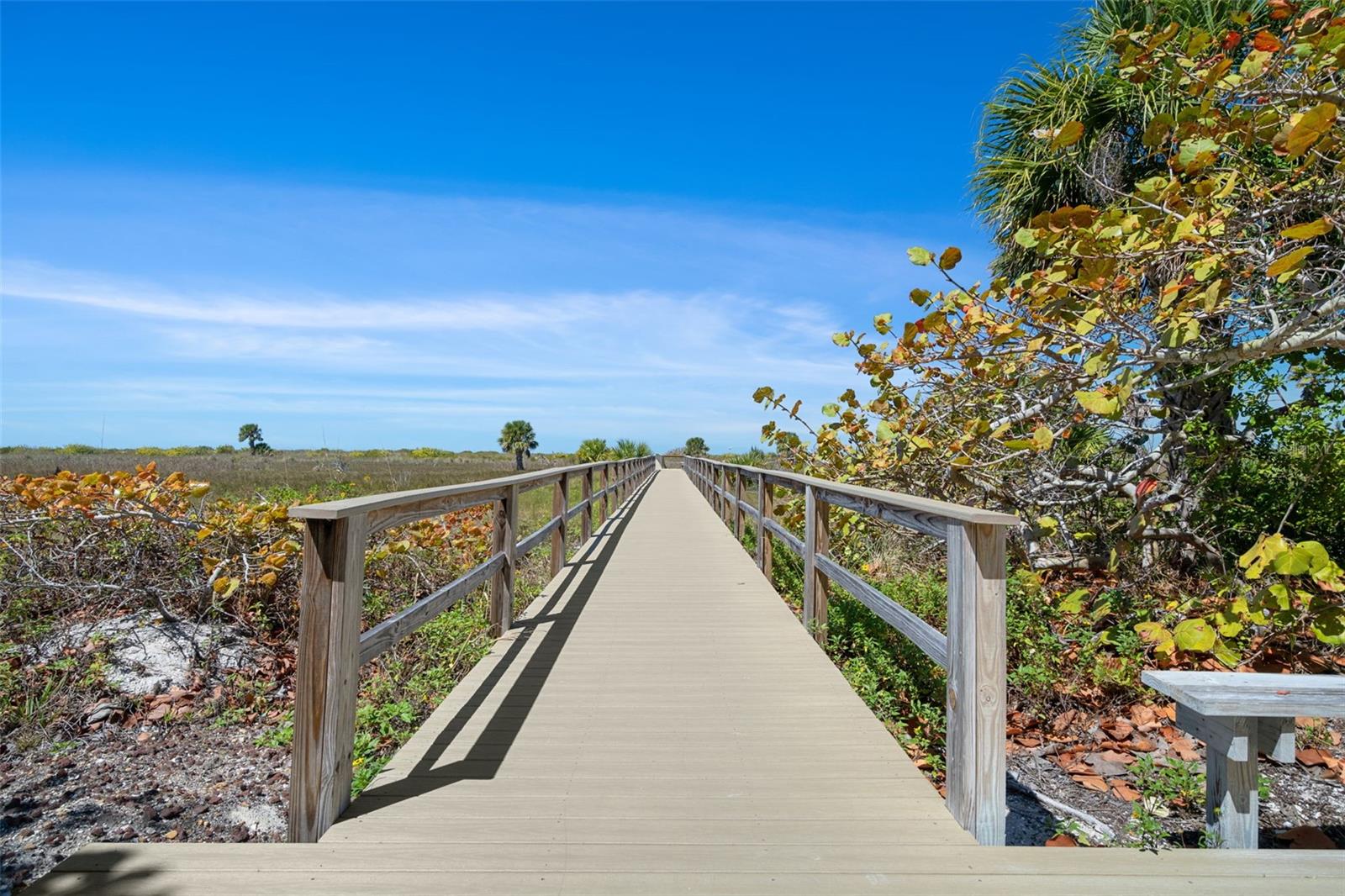 Image 41 of 56 For 1230 Gulf Boulevard 303