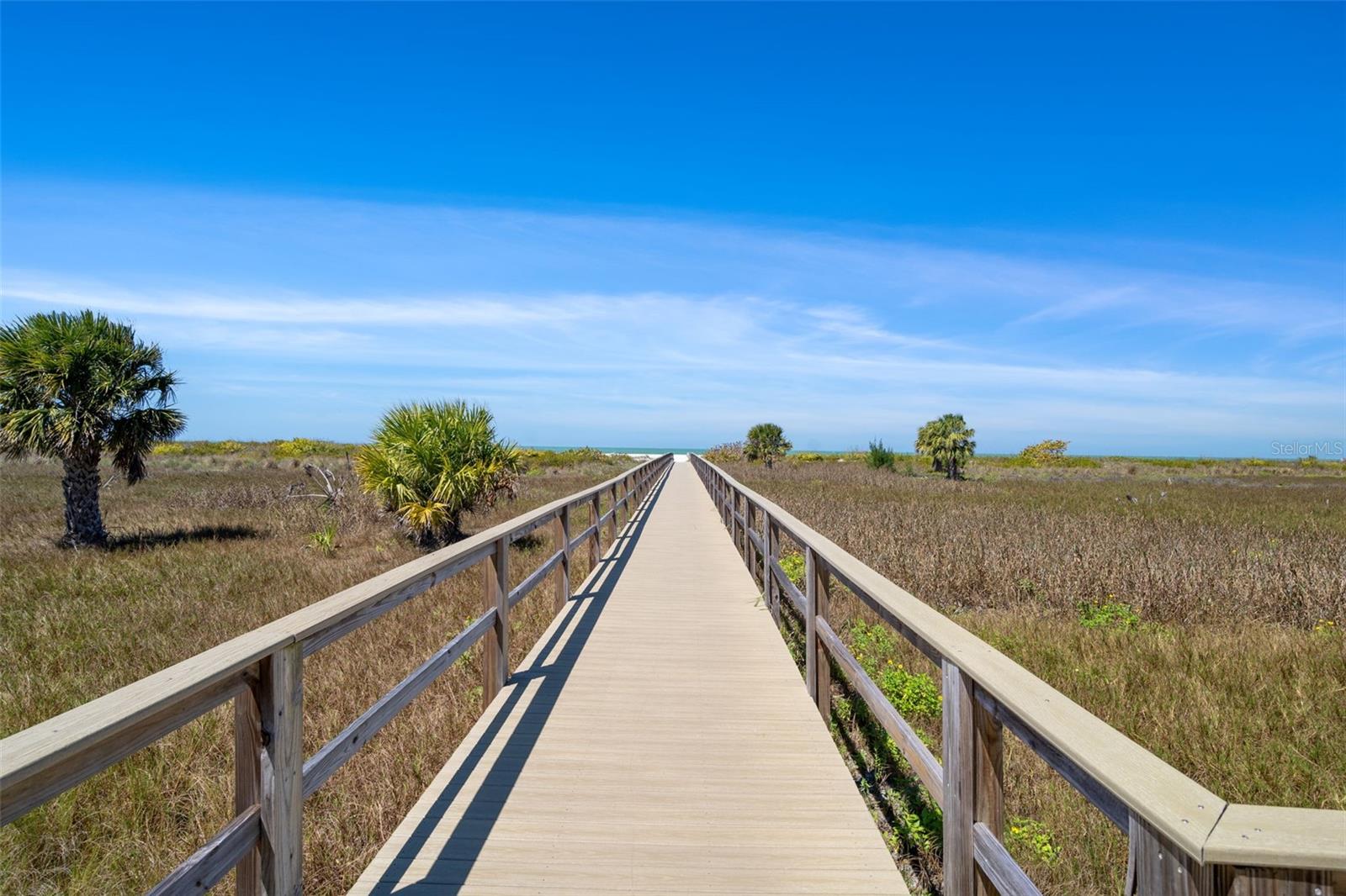 Image 42 of 56 For 1230 Gulf Boulevard 303