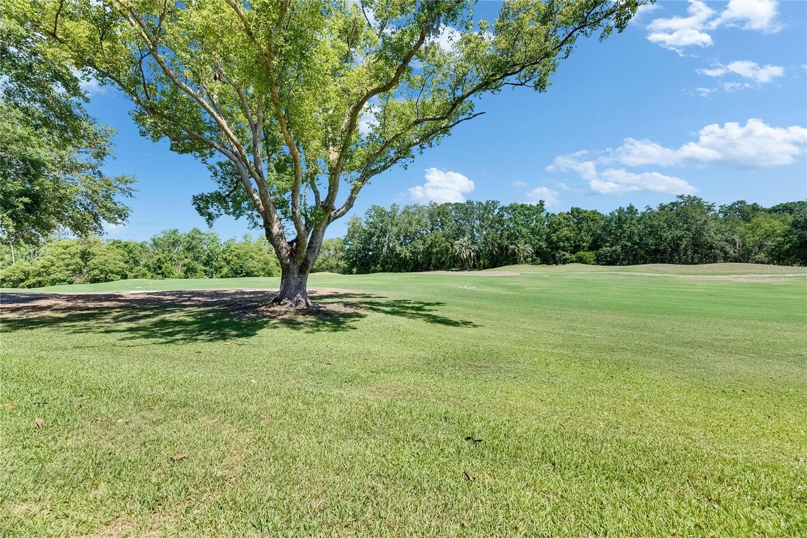 Image 57 of 57 For 29903 Baywood Lane