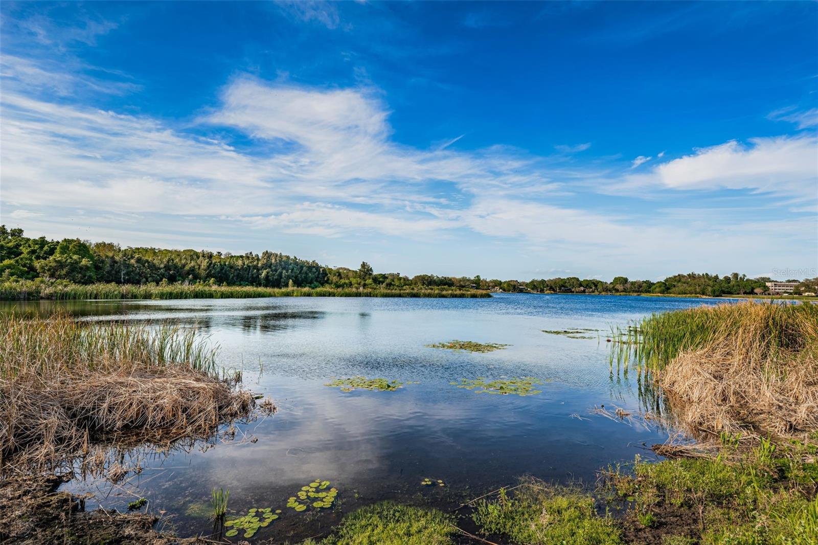 Image 47 of 96 For 2210 Utopian Drive E 203