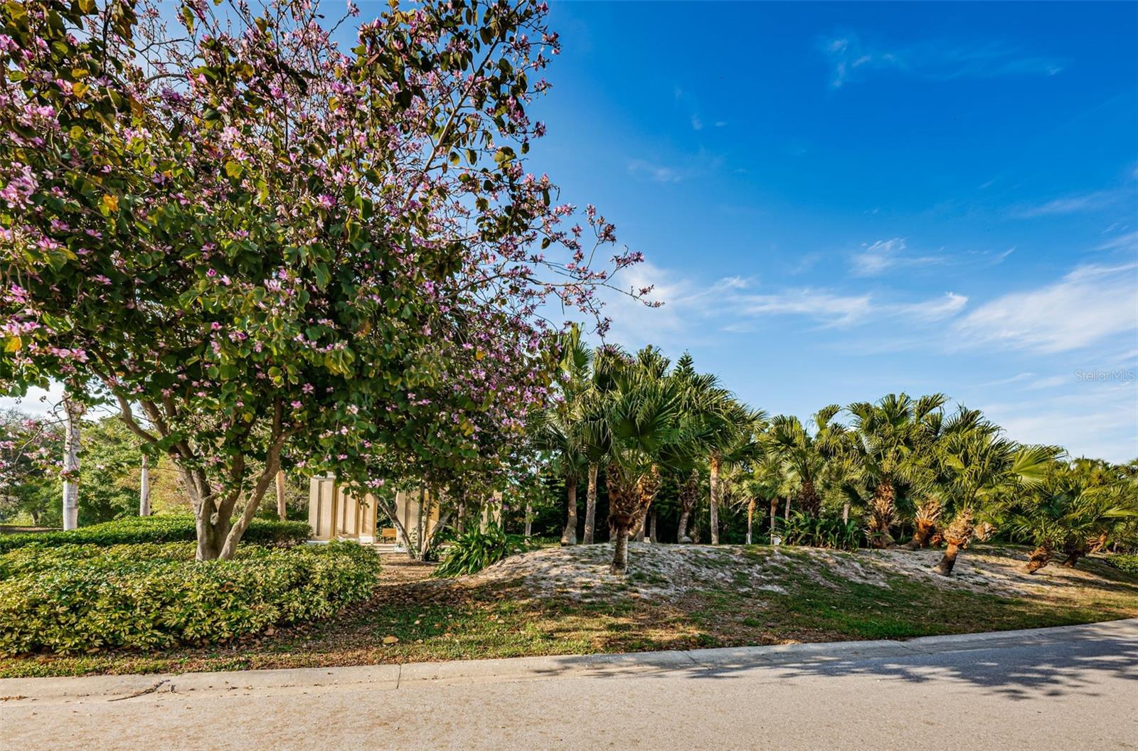 Image 50 of 96 For 2210 Utopian Drive E 203