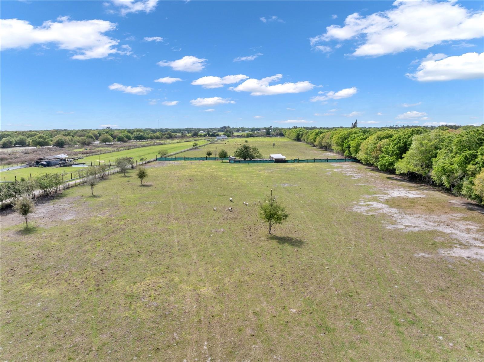 Image 10 of 85 For 1333 Bluff Hammock Road