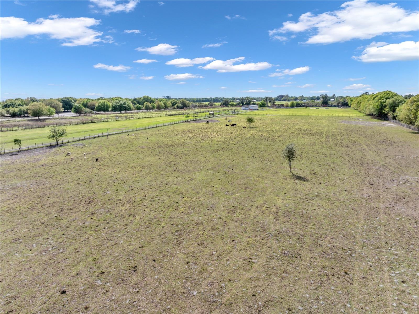 Image 16 of 85 For 1333 Bluff Hammock Road