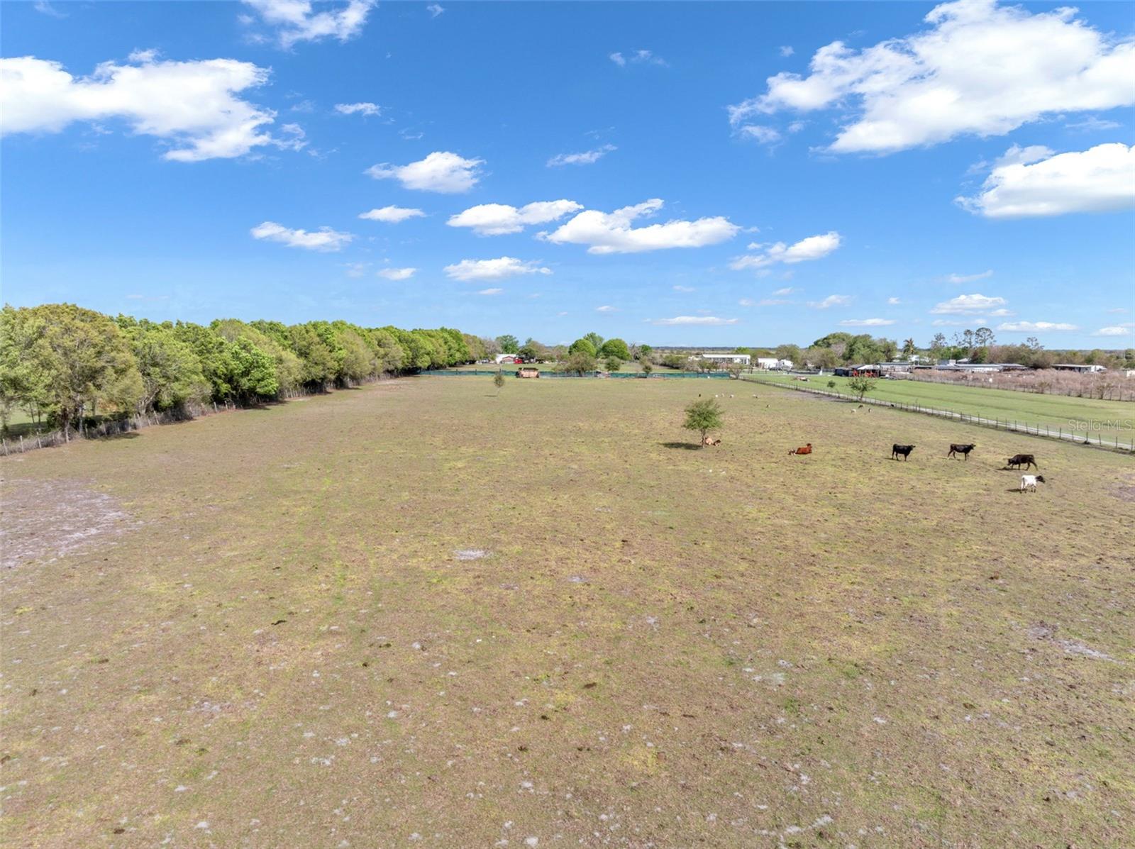 Image 62 of 85 For 1333 Bluff Hammock Road