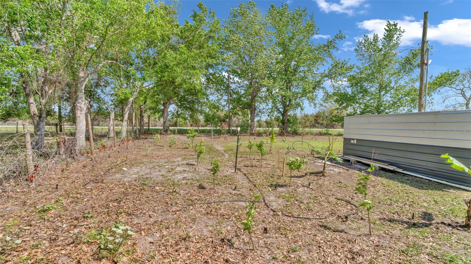 Image 66 of 85 For 1333 Bluff Hammock Road