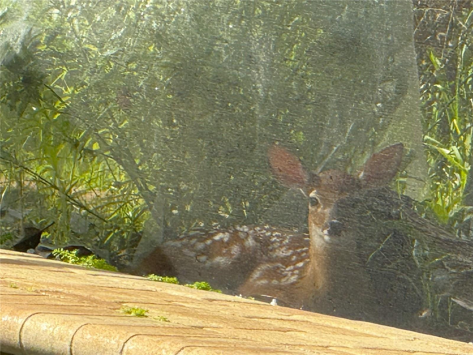 Image 76 of 84 For 4941 Kylemore Court