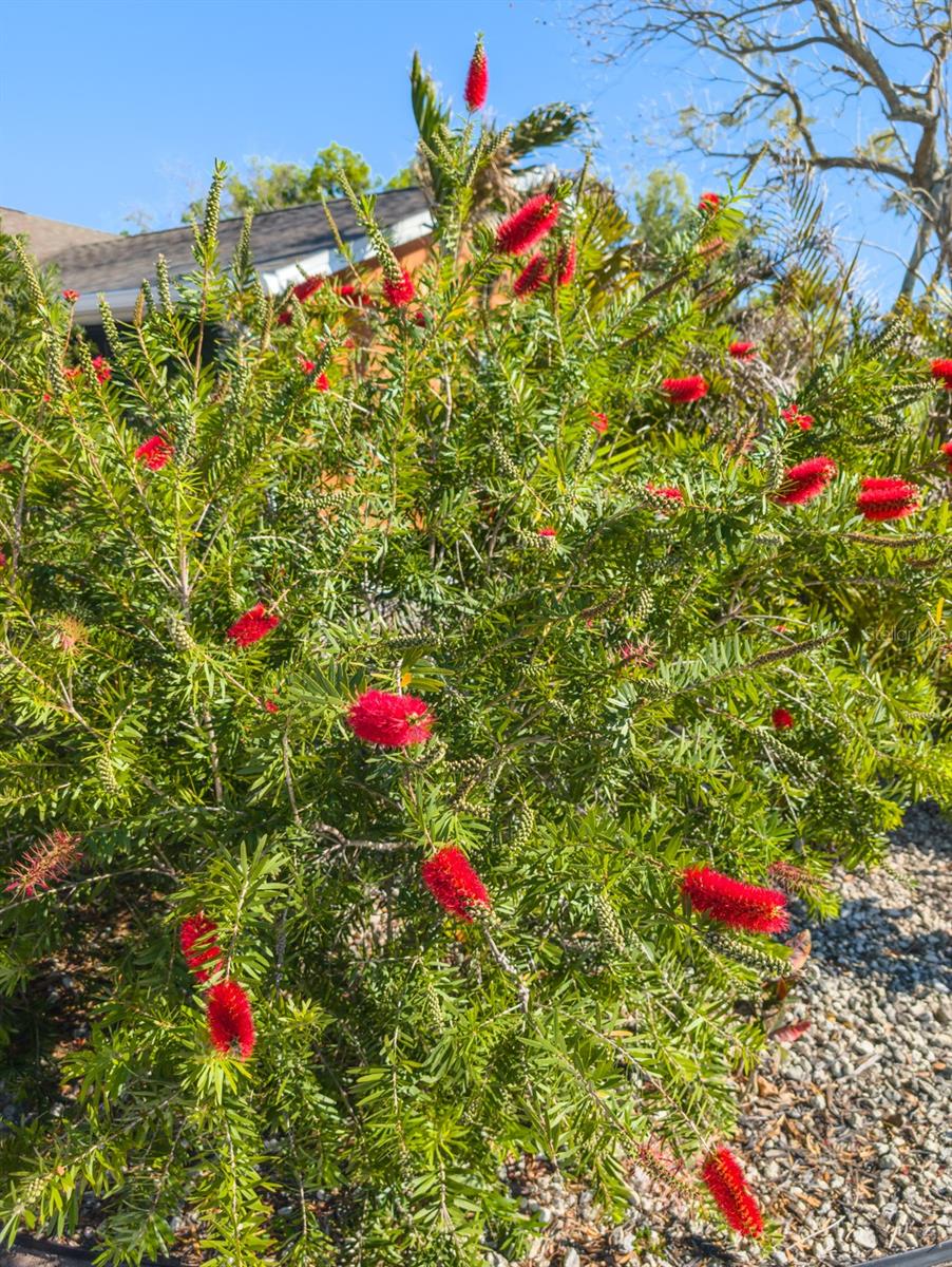 Image 54 of 66 For 9436 Palm Avenue