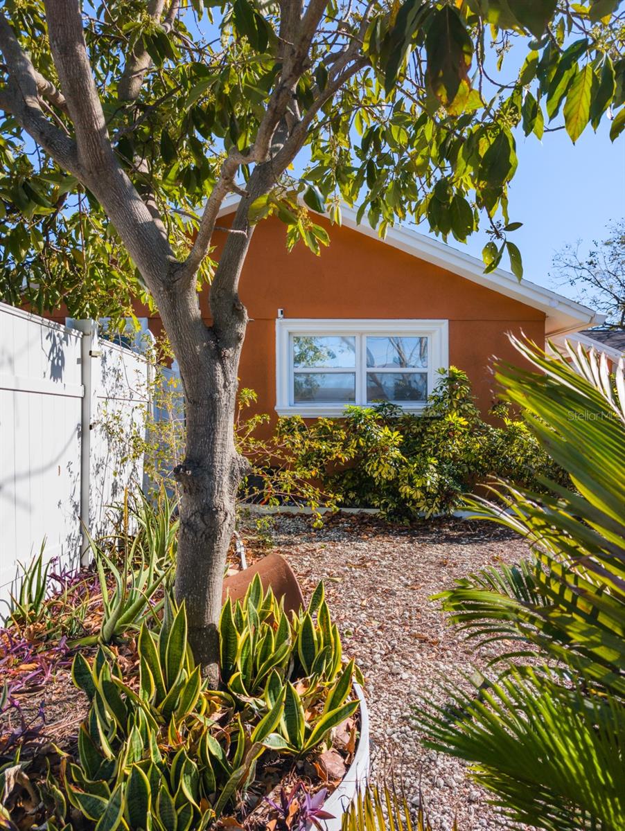 Image 59 of 66 For 9436 Palm Avenue