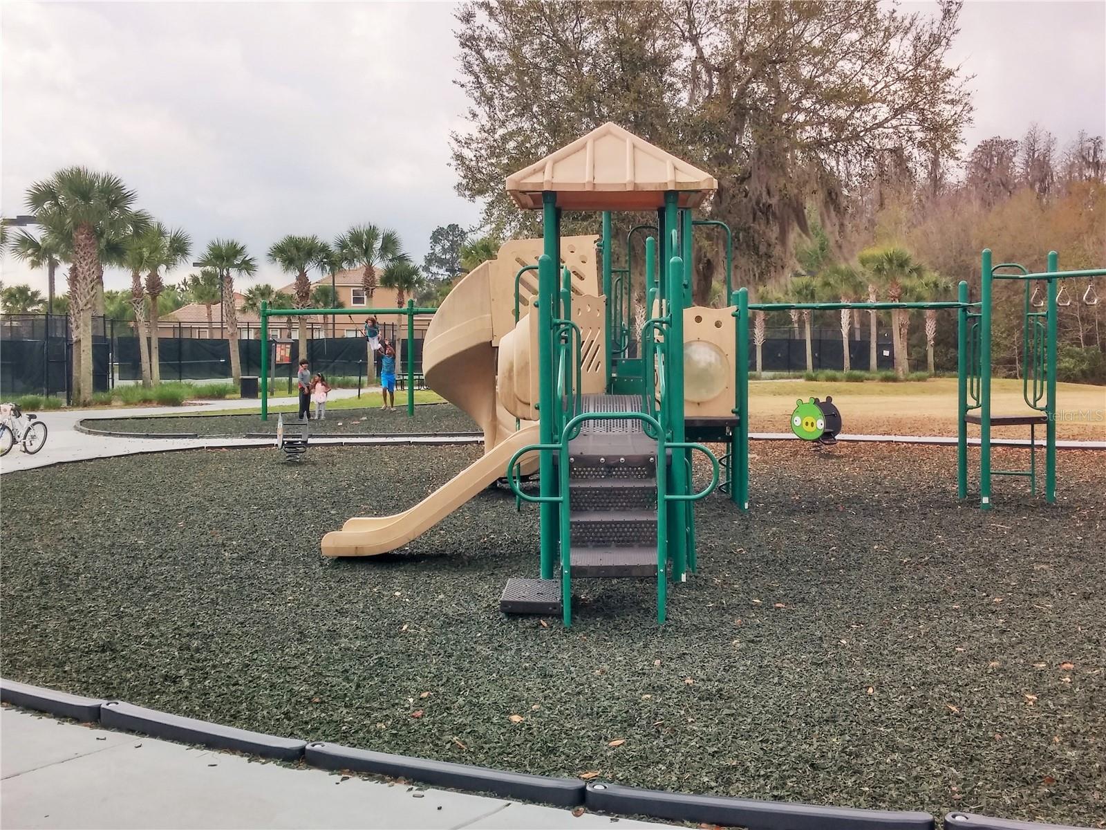 Image 62 of 64 For 20003 Ryman Place