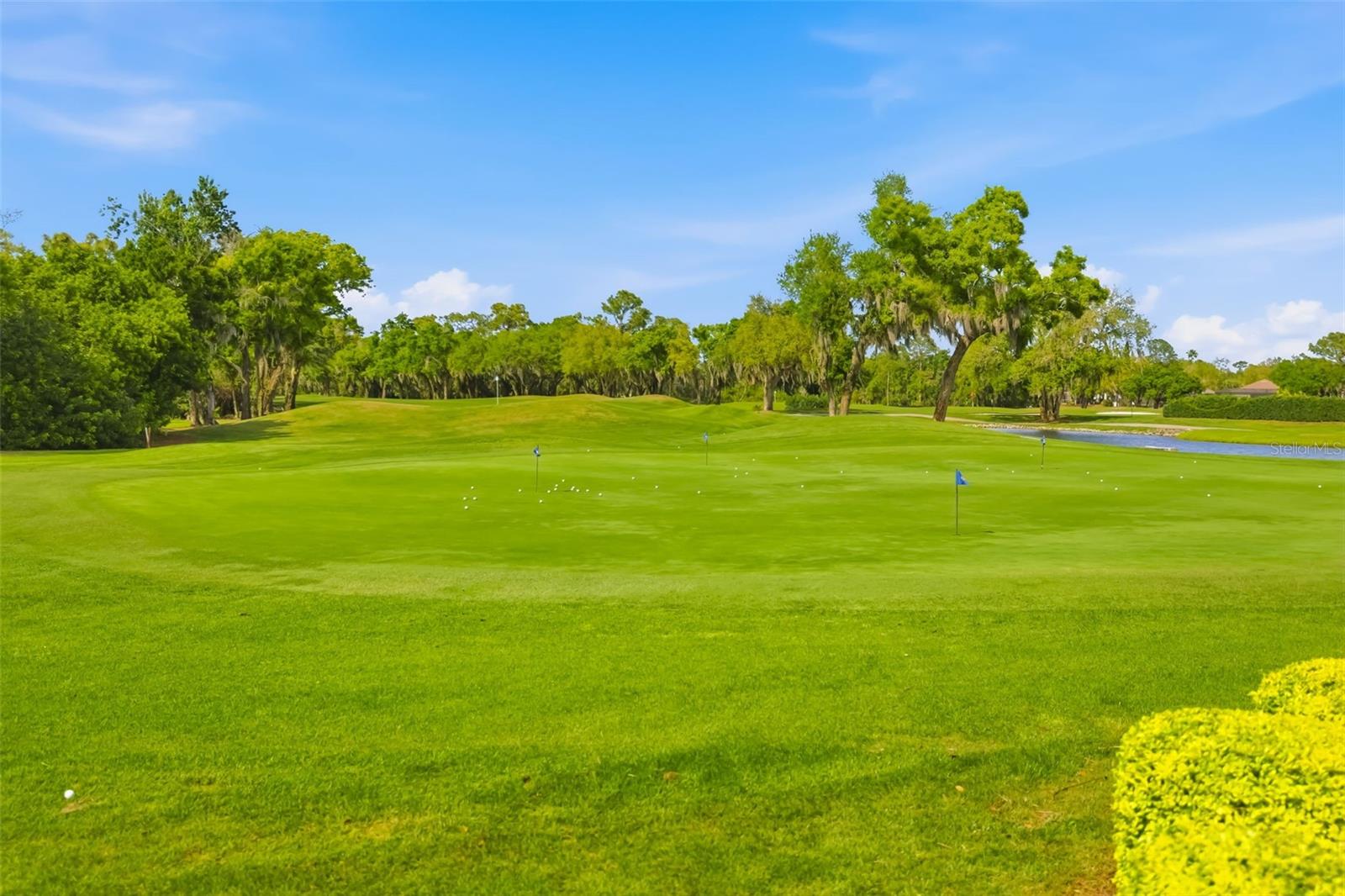 Image 85 of 93 For 10107 Carnoustie Place