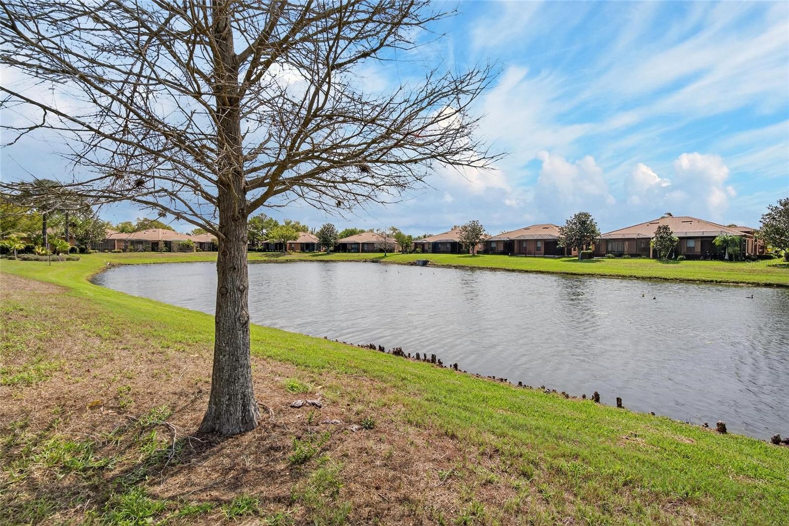 Image 54 of 81 For 210 Shell Falls Drive