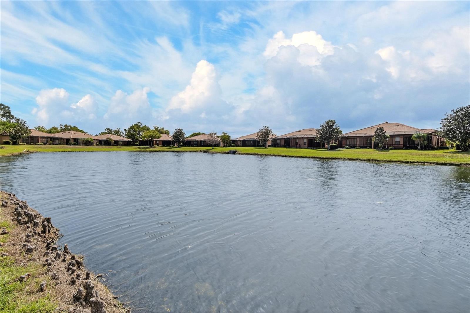 Image 56 of 81 For 210 Shell Falls Drive