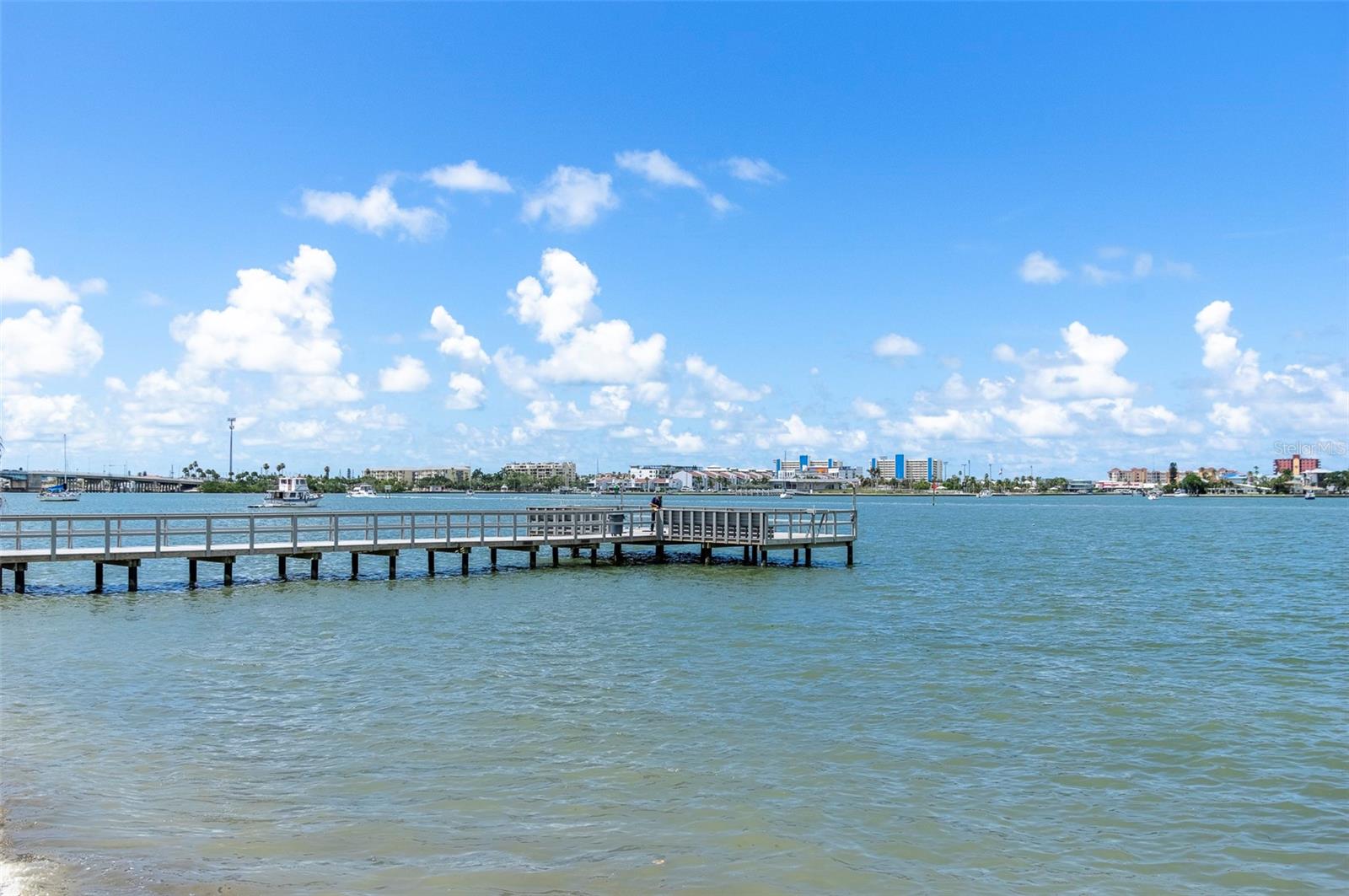 Image 37 of 46 For 4725 Cove Circle 207