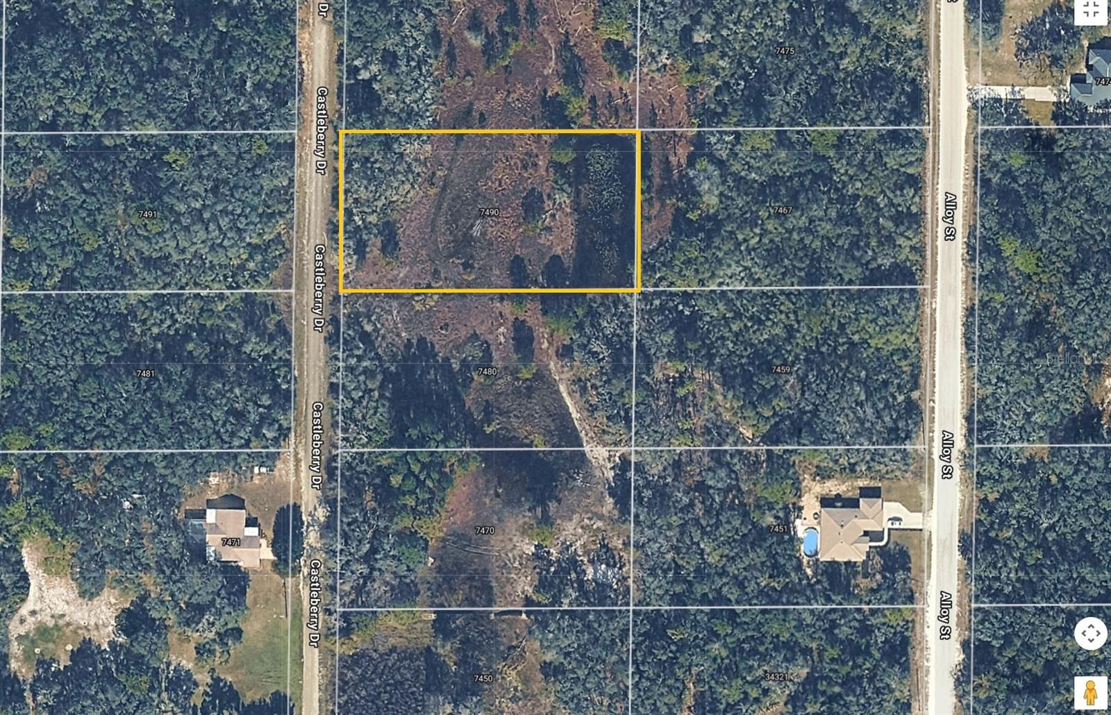 Listing Details for 7490 Castleberry Drive, WEBSTER, FL 33597